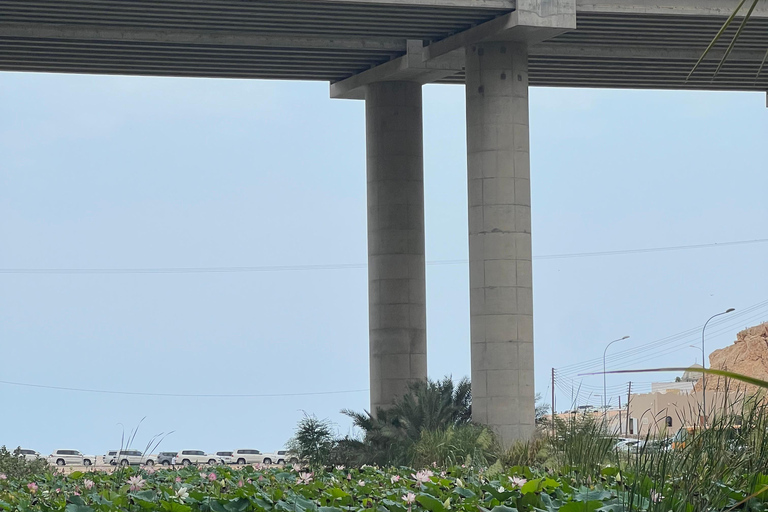 Muscat: Wadi Shab Hike and Bimmah Sinkhole Tour with Lunch Muscat: Wadi Shab Hike and Bimmah Sinkhole Tour with Lunch