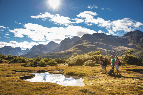 From Te Anau: Milford Sound Cruise & Key Summit Hike