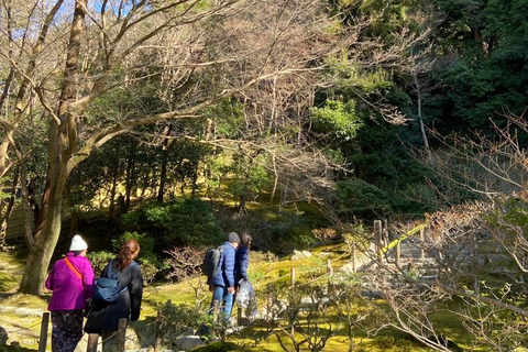 E-Bike Tour in Kyoto with Asuka, Japanese graduate student