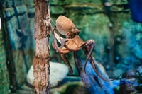 Barcelona Aquarium, Skip-the-Line Admission Ticket - Housity