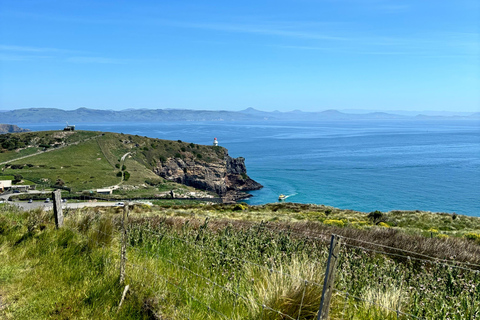 Dunedin City & Otago Peninsula Scenery Day Tour Private Tour