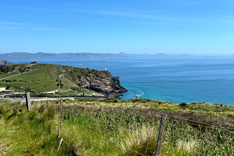 Dunedin City & Otago Peninsula Scenery Day Tour Private Tour