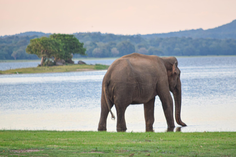 Sigiriya to Trincomalee: Kayaking & Floating Restaurant Tour