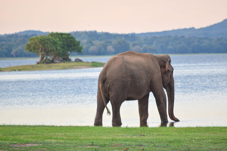 Sigiriya to Trincomalee: Kayaking & Floating Restaurant Tour