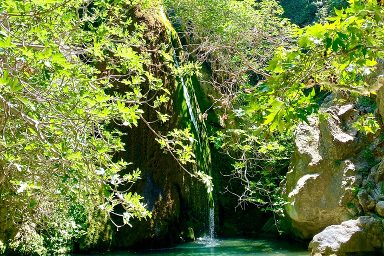 Kreta: Richtis Wasserfall Privat geführte Wanderung TourKreta: Richtis Wasserfall Private geführte Wanderung Tour