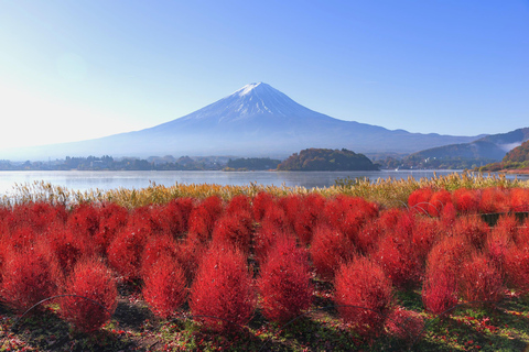 Tokyo: Mt. Fuji & Lake Kawaguchi Small Group Tour - 6 Spots Hotel Pickup Option