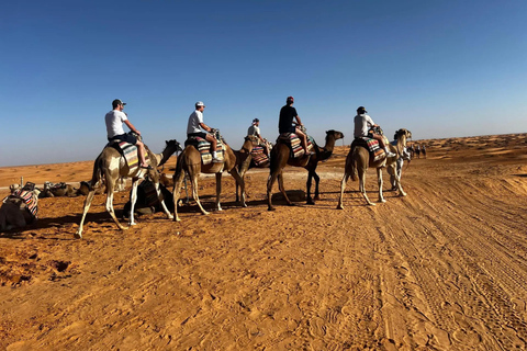 A partir de Djerba/Zarzis: Tesouros do Sul da Tunísia 3 diasDe Djerba/Zarzis: Tesouros do Sul da Tunísia, 3 dias