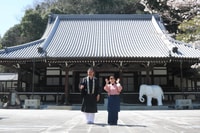 Takehara, experiencia budista con la cocina vegana de Monk - Housity