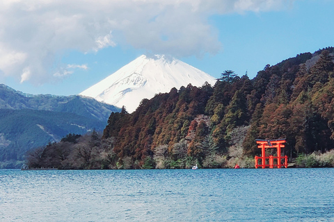 Mount Fuji & Hakone Full-Day Private Tour (Customizable) Hakone & Mount Fuji Tour w/English speaking guide