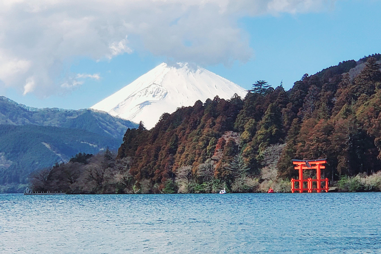 Mount Fuji & Hakone Full-Day Private Tour (Customizable) Hakone & Mount Fuji Tour w/English speaking guide