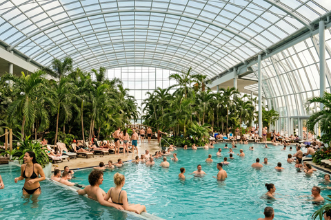 Bucharest: Therme Wellness Transfer - Skip-the-Line Ticket 12 HOURS Therme Bucharest Palm, Galaxy or Elysium & Transfer