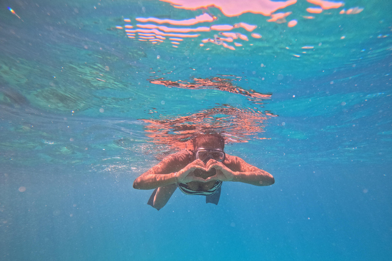 Hurgada: tour en barco de 7 horas con delfines, esnórquel y almuerzo