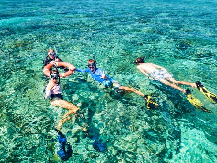 From Cairns: Great Barrier Reef Snorkeling Tour With Lunch | GetYourGuide