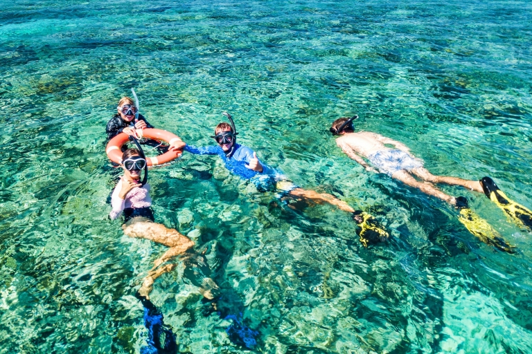Ab Cairns: Premium-Schnorchel-Tour zum Great Barrier ReefPremiumtour zum Great Barrier Reef für zertifizierte Taucher