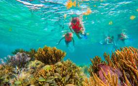 Puerto Morelos: Reef Snorkeling Trip with Beachside Lunch