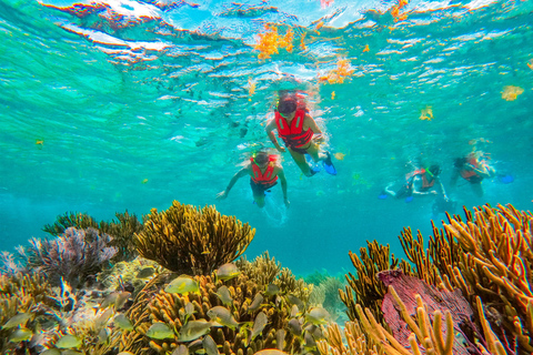 Cancún: Puerto Morelos Reef Snorkeling Tour &amp; Seaside Lunch