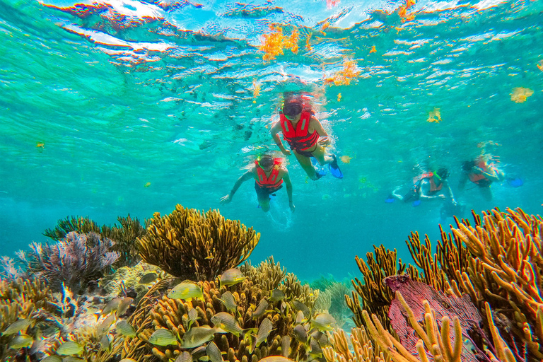 Cancún: Excursión de snorkel por los arrecifes de Puerto Morelos y comida junto al mar