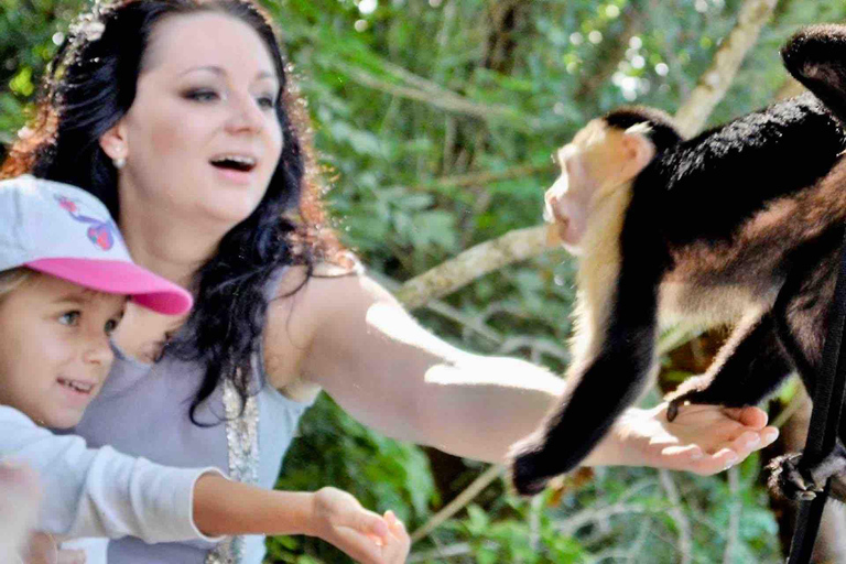 Feed Wild Monkeys on Panama Canal at Monkey Island Adventure No Hotel Pickup