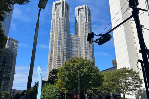 ingresso gratuito per il tour giornaliero dell&#039;osservatorio di shinjuku