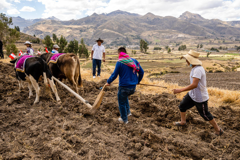 Arequipa: 4-Daagse Colca Canyon en Salinas Lagune Circuit