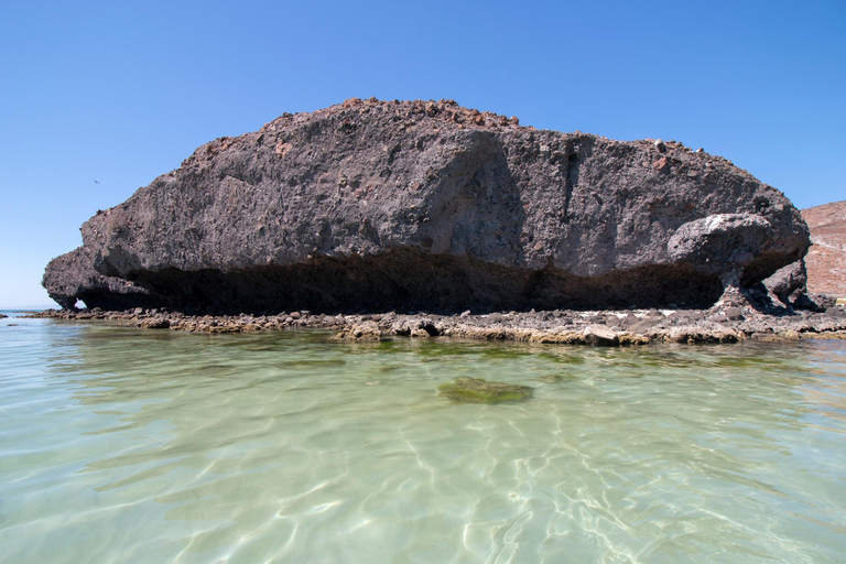 From Los Cabos: La Paz, Balandra & Todos Santos Excursion