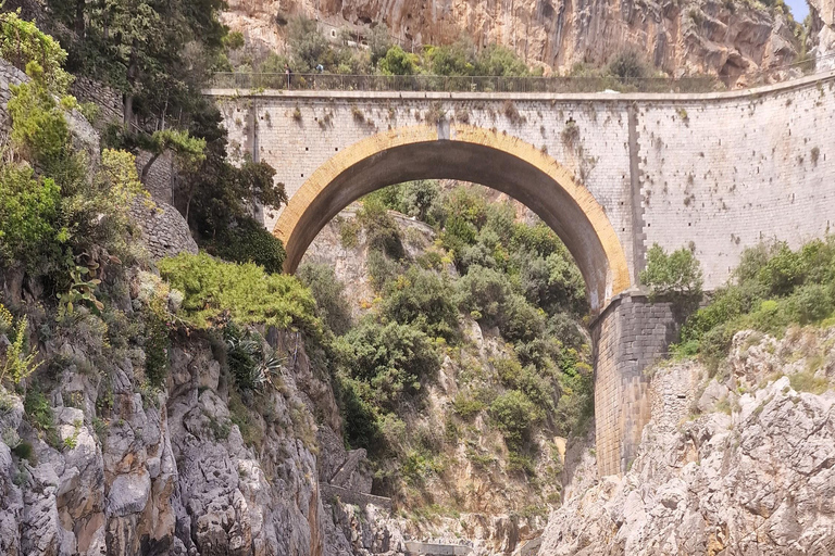 Positano: private boat tour along the Amalfi Coast Positano: private boat tour along the Amalfi Coast half day