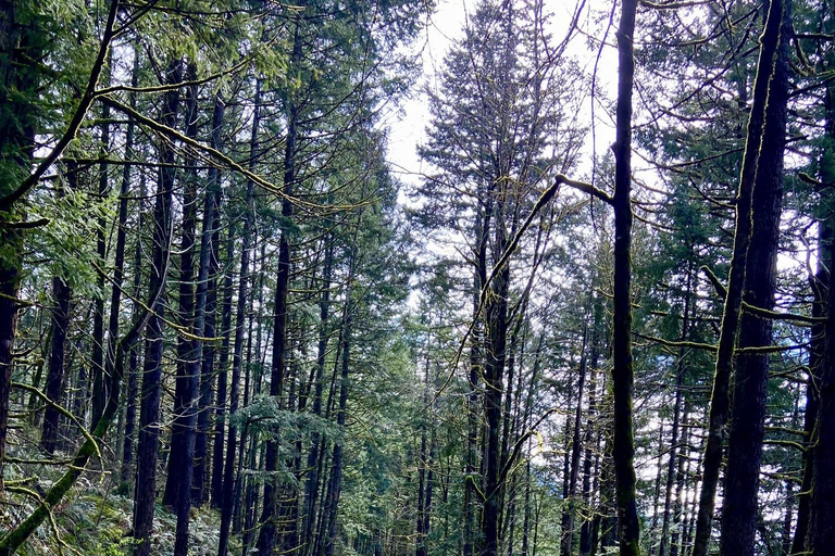 Portland: Columbia Gorge Scenic Bikeway Full-Day Ride