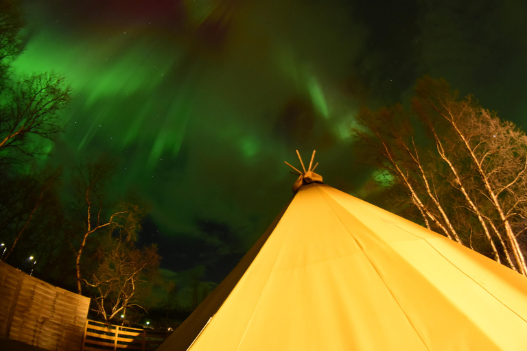 Abisko: Sami-Inspired Aurora BBQ with Aurora Chasing Abisko: Sami inspired Aurora BBQ with Aurora chasing