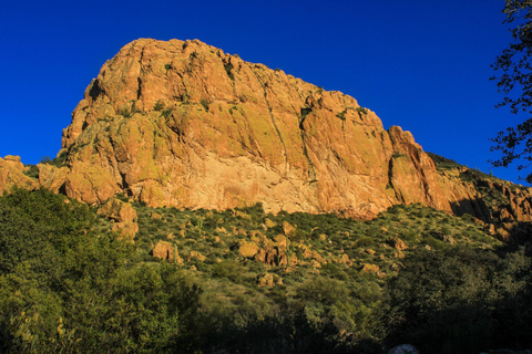 Tucson: Sonoran Desert Guided Hike with Naturalist Guide