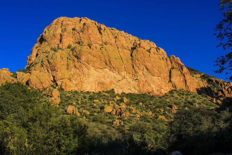 Tucson: Sonoran Desert Guided Hike with Naturalist Guide