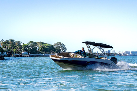 Miami: Celebrity Houses and Star Island Boat Tour Private Tour