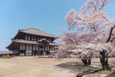 Nara Cherry Blossom Highlights Spring Day Tour from Osaka Shared Tour, Meet at Tsurutontan Soemoncho