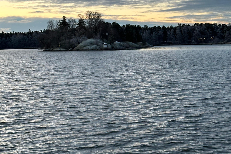 Furuvik seaside sauna: Sauna and Cold Plunge Experience