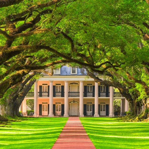 New Orleans: Oak Alley Plantation Tour and Transportation