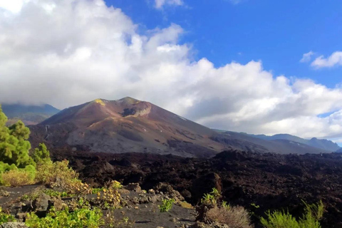 From Tenerife: Tour to the Isla Bonita - La Palma From Tenerife: Tour to the Beautiful Island - La Palma