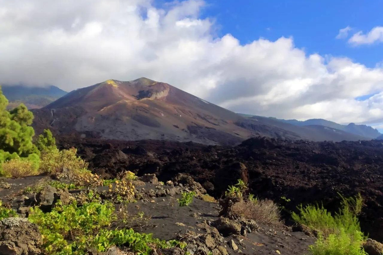 From Tenerife: Tour to the Isla Bonita - La Palma From Tenerife: Tour to the Beautiful Island - La Palma