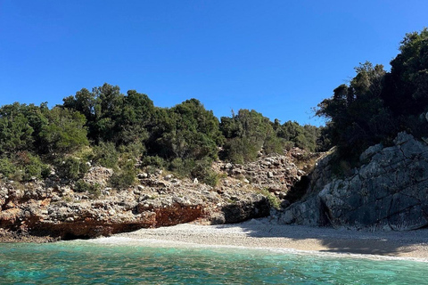 Tirana/Golem: Sazan Island, Ali Cave & Beach by Speedboat Pick up From Tirana