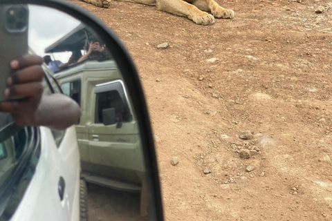 Nairobi National Park Game Drive Safari With Pick-Up