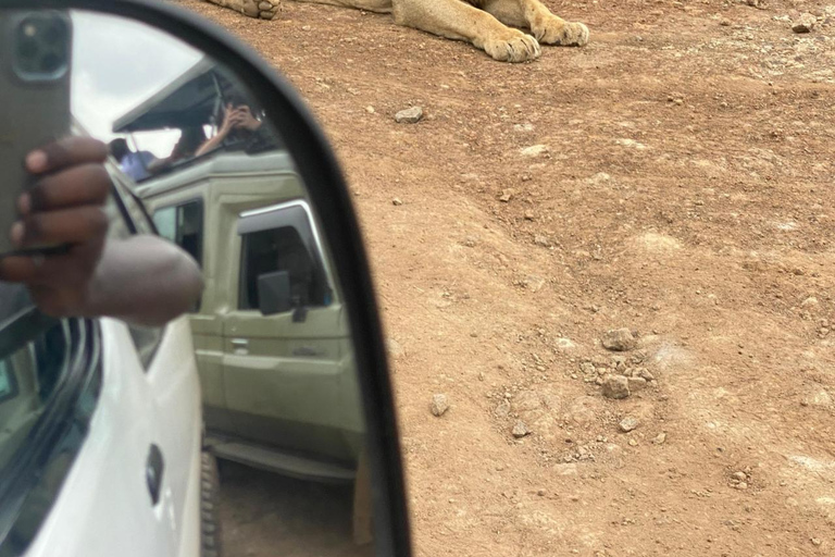 Nairobi National Park Game Drive Safari With Pick-Up
