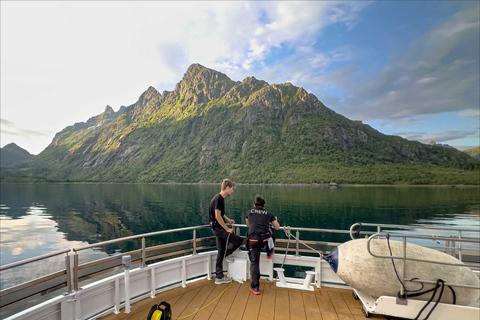 Tromsø: Summer Arctic Light Cruise with a Guide Tromsø: Midnight Sun or Sunset Cruise with a Guide
