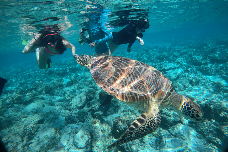 Private Snorkeling in Gili Trawangan, meno & air with goopro Option 1:Private Snorkeling in Gili T,meno & air with goopro