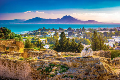 Tunis, Carthage & Bardo Museum: A Journey Through History From Mahdia