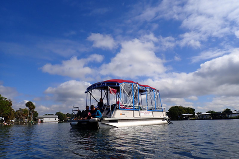 Crystal River: Guided Manatee Tour Heated Boat Free Photos