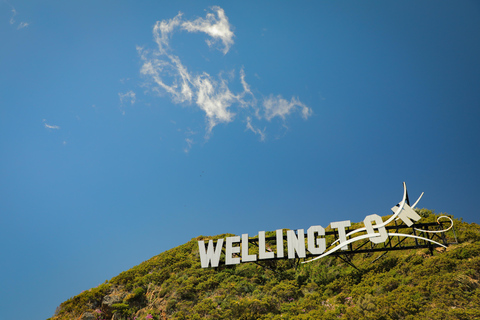 Descubre Wellington - Tour de la ciudad de 3 h