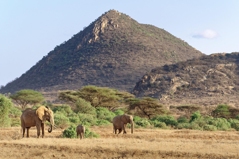 6-tägige Samburu Löwenjagd, Wandern und Camping Safari