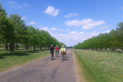 Pałac Hampton Court: Wycieczka rowerowa po rzece ThamesHampton Court Palace Bike Tour - Prywatne