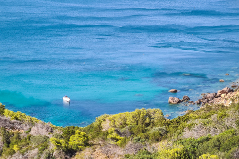 From Tunis: Korbous Trek, Hot Springs, and Sea Caves Tour