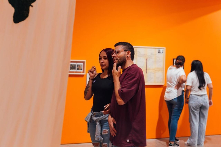 Medellin: Access Ticket to the Museum of Modern Art of Medellin