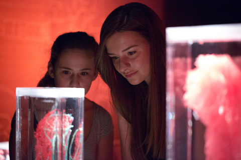 Las Vegas: REAL BODIES at Horseshoe Las Vegas Entry Ticket REAL BODIES Entry Ticket - Peak 7$ OFF