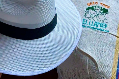 麦德林：埃尔利亚诺农庄之旅含品鉴与午餐麦德林：平原农业之旅含品鉴与午餐